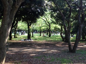 park