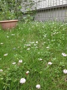 IMG_0750